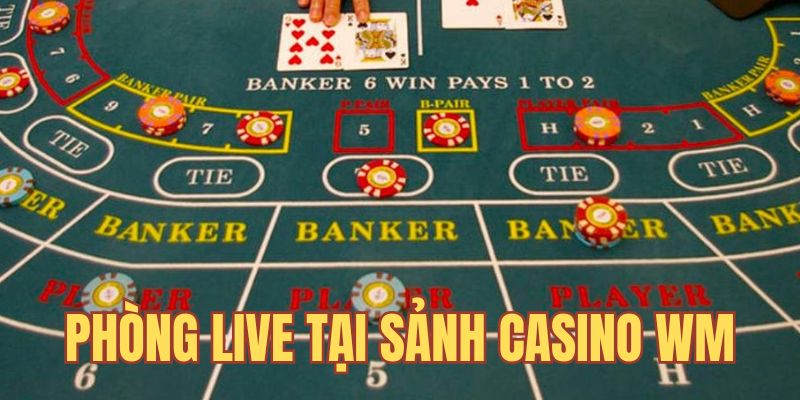 Phòng live đẳng cấp cho cược thủ